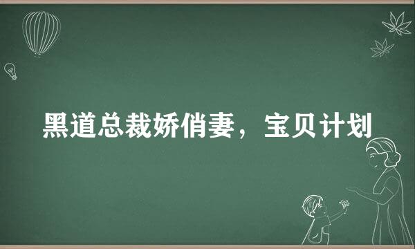 黑道总裁娇俏妻，宝贝计划