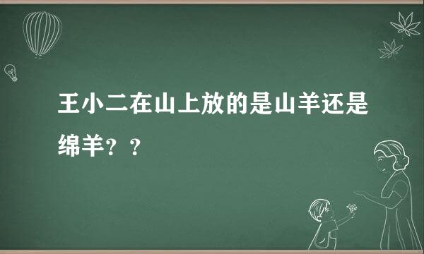 王小二在山上放的是山羊还是绵羊？？