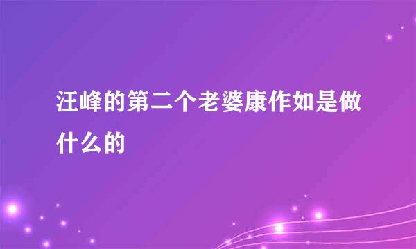 汪峰的第二个老婆康作如是做什么的