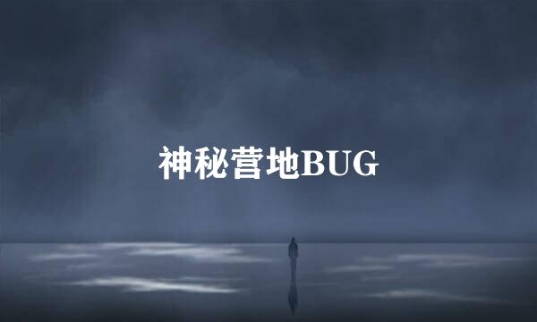 神秘营地BUG