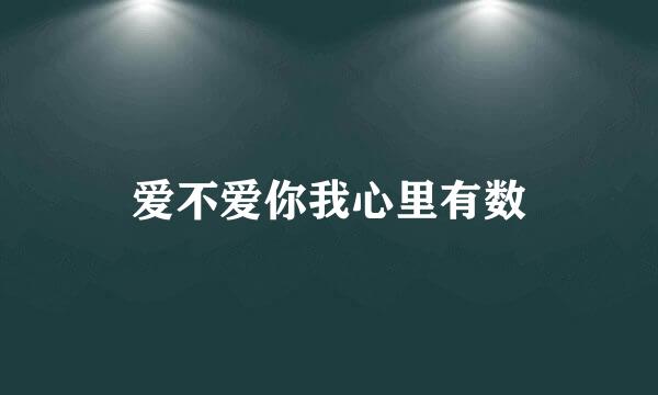 爱不爱你我心里有数