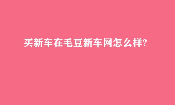 买新车在毛豆新车网怎么样?