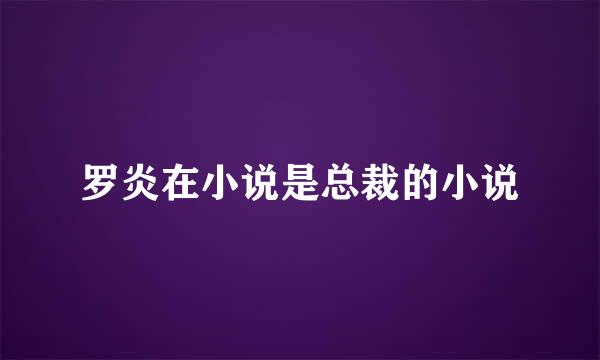 罗炎在小说是总裁的小说