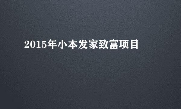 2015年小本发家致富项目