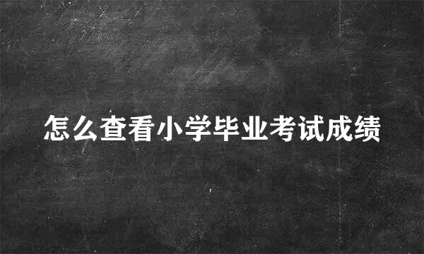 怎么查看小学毕业考试成绩