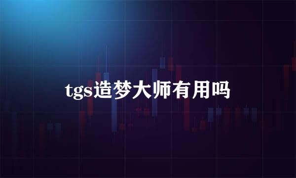 tgs造梦大师有用吗