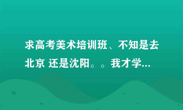 求高考美术培训班、不知是去北京 还是沈阳。。我才学2个月画。