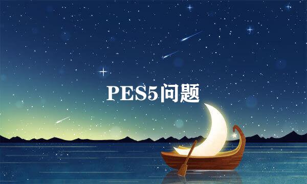 PES5问题