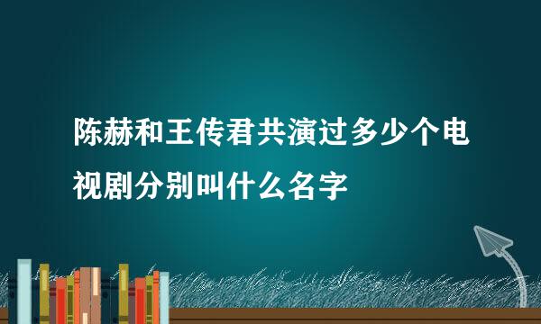 陈赫和王传君共演过多少个电视剧分别叫什么名字