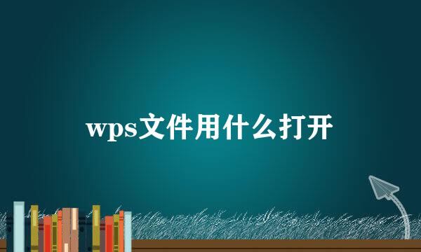 wps文件用什么打开