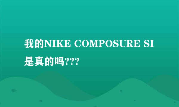 我的NIKE COMPOSURE SI是真的吗???