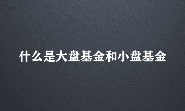 什么是大盘基金和小盘基金