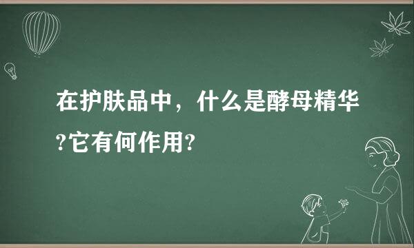 在护肤品中，什么是酵母精华?它有何作用?