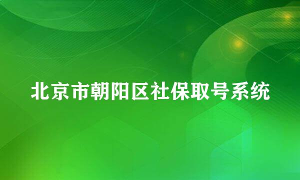 北京市朝阳区社保取号系统