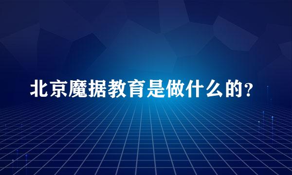 北京魔据教育是做什么的？