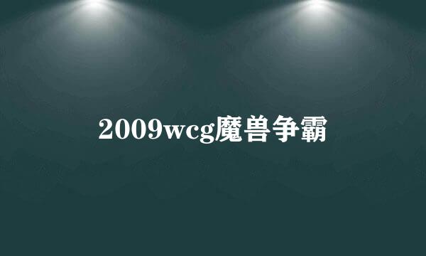 2009wcg魔兽争霸