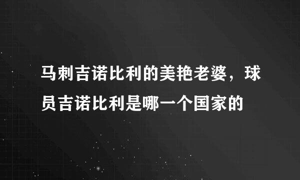 马刺吉诺比利的美艳老婆，球员吉诺比利是哪一个国家的