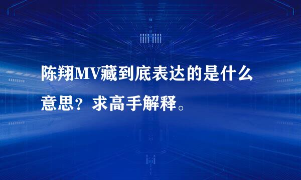 陈翔MV藏到底表达的是什么意思？求高手解释。