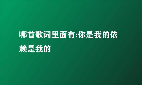 哪首歌词里面有:你是我的依赖是我的