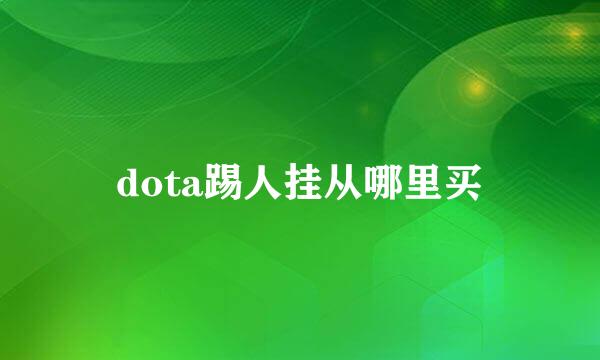 dota踢人挂从哪里买