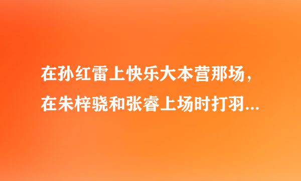 在孙红雷上快乐大本营那场，在朱梓骁和张睿上场时打羽毛球的开场舞的英文背景歌曲是啥呀？