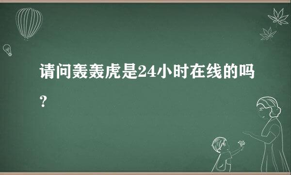 请问轰轰虎是24小时在线的吗？