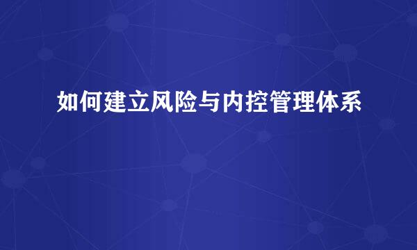 如何建立风险与内控管理体系