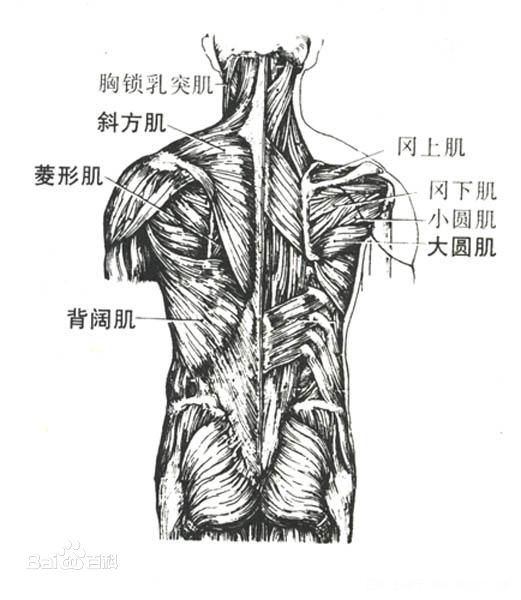 冷可以减肥吗？