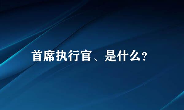 首席执行官、是什么？