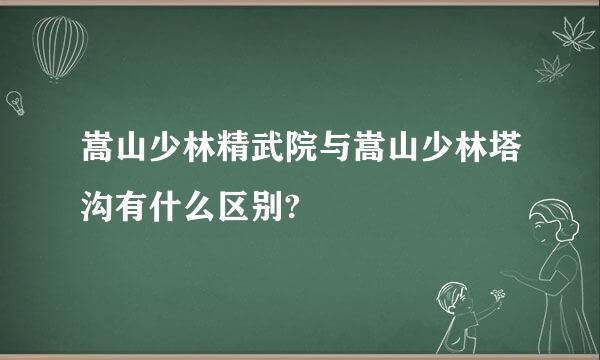 嵩山少林精武院与嵩山少林塔沟有什么区别?