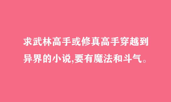 求武林高手或修真高手穿越到异界的小说,要有魔法和斗气。