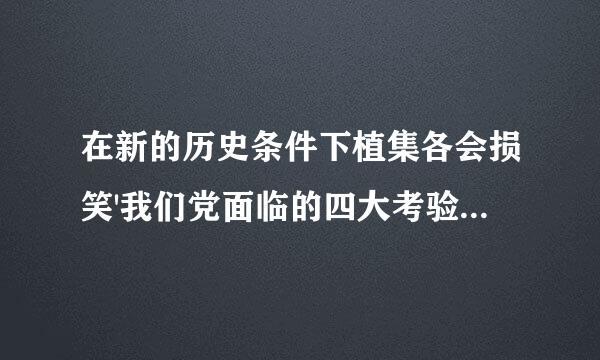 在新的历史条件下植集各会损笑'我们党面临的四大考验和四大风险分别是什么?