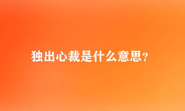 独出心裁是什么意思？