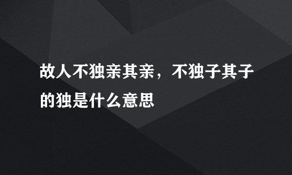 故人不独亲其亲，不独子其子的独是什么意思