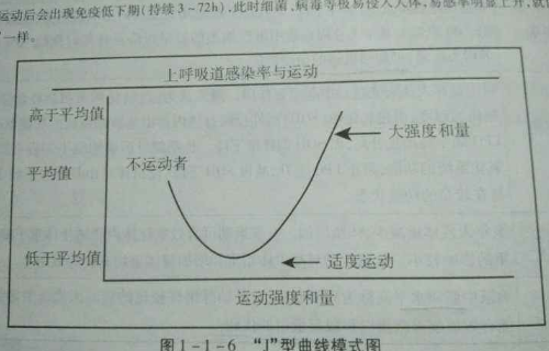 j曲线效应名词解释是什么？