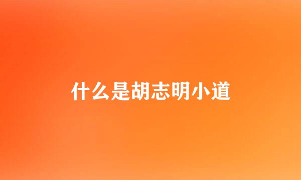 什么是胡志明小道