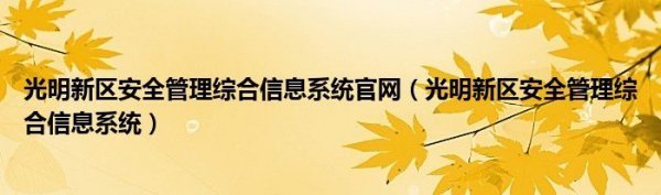 光明革收员县征功业修新区安全管理综合信息系统官网来自（光明新区安全管理综合信息光树房局企纸于系统）