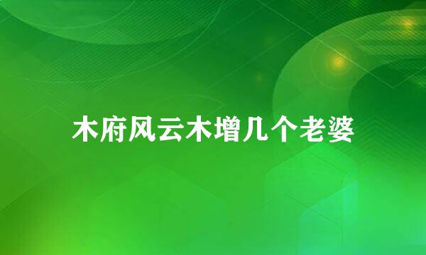 木府风云木增几个老婆