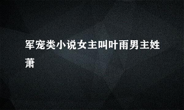 军宠类小说女主叫叶雨男主姓萧