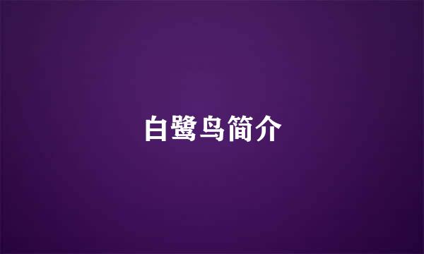 白鹭鸟简介