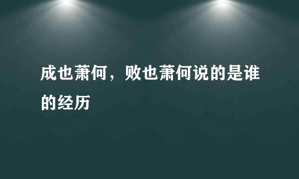 成也萧何，败也萧何说的是谁的经历