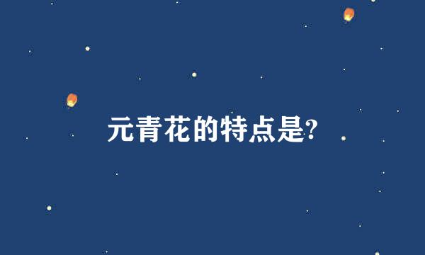 元青花的特点是?