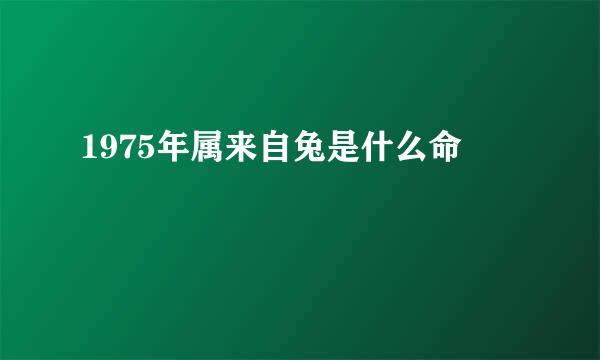 1975年属来自兔是什么命