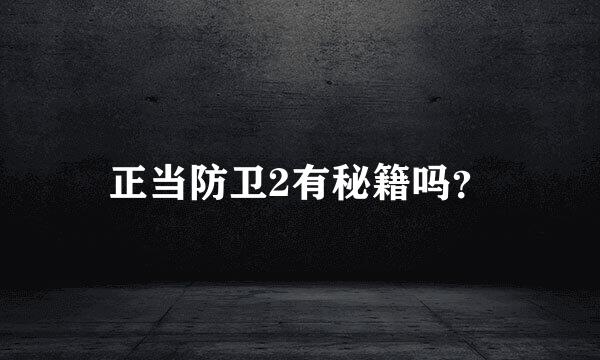 正当防卫2有秘籍吗？