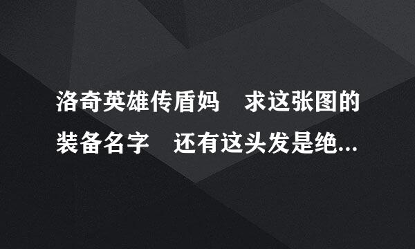 洛奇英雄传盾妈 求这张图的装备名字 还有这头发是绝版了吗？ 大神们求解答