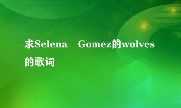 求Selena Gomez的wolves的歌词