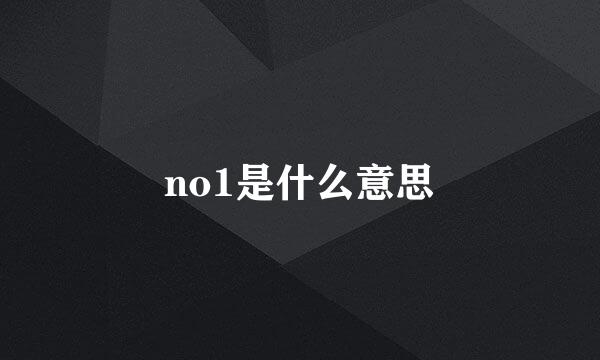 no1是什么意思