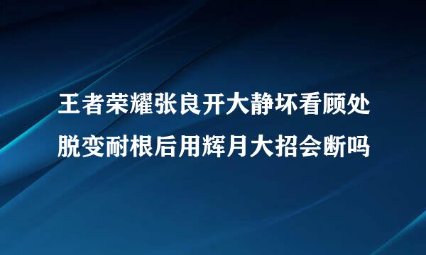 王者荣耀张良开大静坏看顾处脱变耐根后用辉月大招会断吗