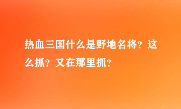 热血三国什么是野地名将？这么抓？又在那里抓？