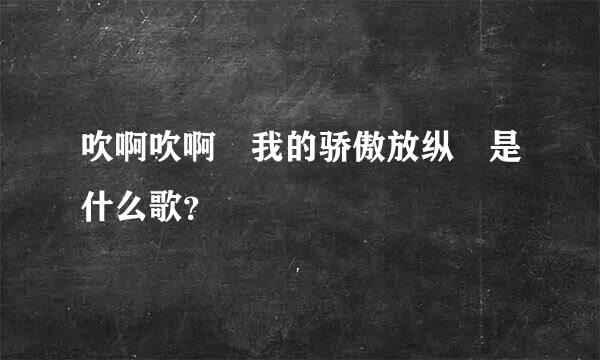 吹啊吹啊 我的骄傲放纵 是什么歌？